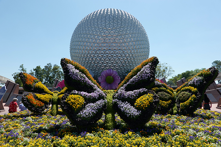 Disney Epcot Flower and Garden show